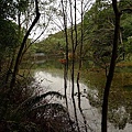 P1050237.jpg