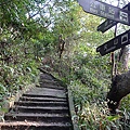 P1070764.jpg