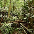 P1050241-1.jpg