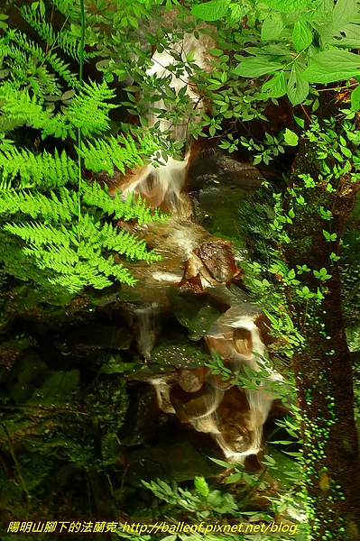 P1060364.jpg P1060364.jpg