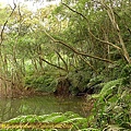 P1050244.jpg