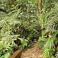 P1050241.jpg