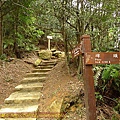 P1050262.jpg