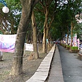 P1070747.jpg