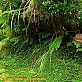 P1060396.jpg
