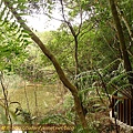 P1050223.jpg