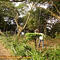 P1070800.jpg