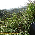 P1070762.jpg