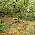 P1050264.jpg