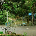 P1000508.jpg