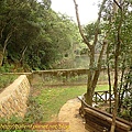 P1050203.jpg