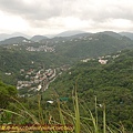 P1060763.jpg