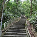 P1230143.jpg