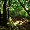 P1060717.jpg
