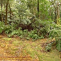 P1050177.jpg
