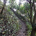 P1070763.jpg