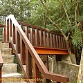 P1050210.jpg