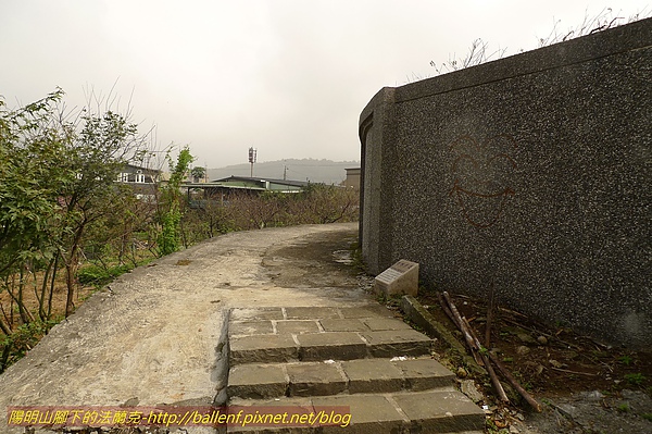 P1050420.jpg