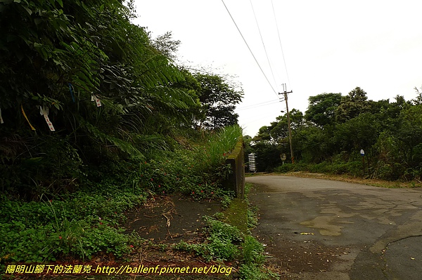 P1060065.jpg