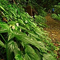 P1060354.jpg