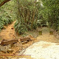 P1050175.jpg