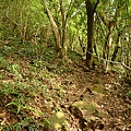 P1070832.jpg