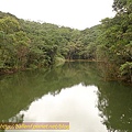 P1050208.jpg