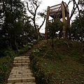 P1060859.jpg