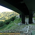 P1040368.jpg