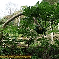 P1070755.jpg