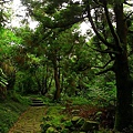 P1060387.jpg
