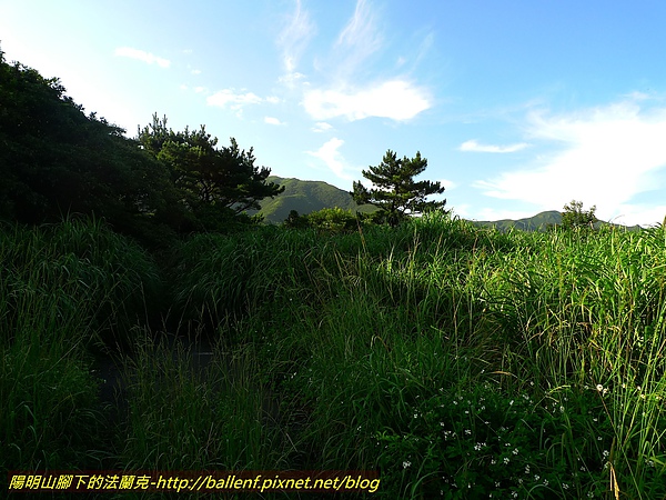 P1060615.jpg