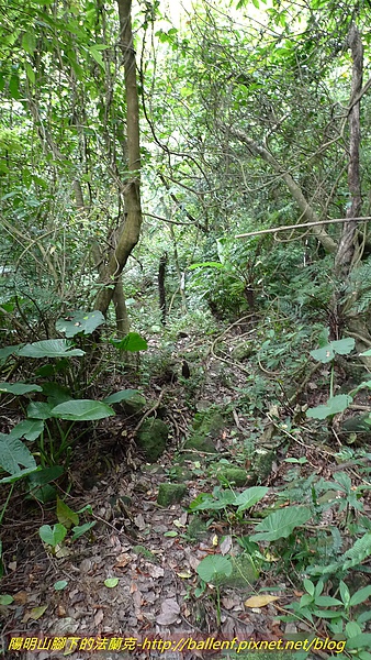 P1030171.jpg