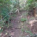 P1070787.jpg