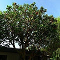 P1060757.jpg