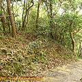 P1070812.jpg