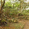 P1070796.jpg