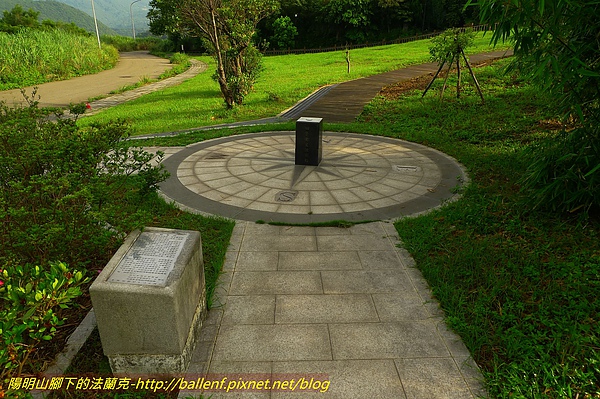 P1010206.jpg