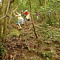 P1070830.jpg