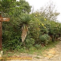 P1050192.jpg
