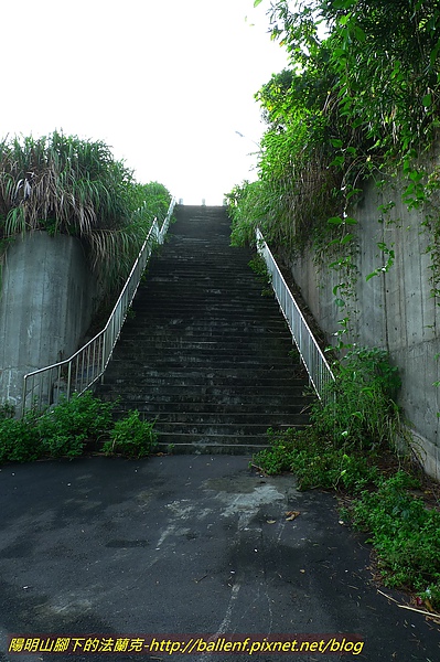 P1010195.jpg