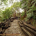 P1060863.jpg