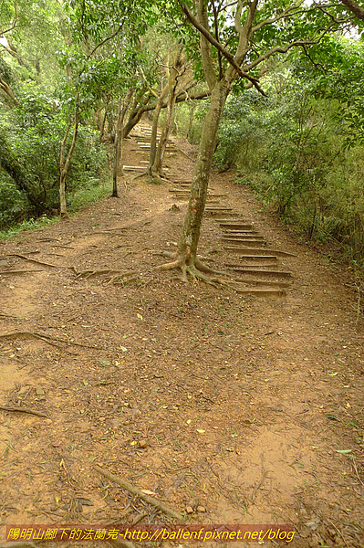P1070052.jpg