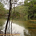 P1050238.jpg