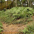 P1060800.jpg