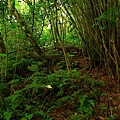 P1010834.jpg