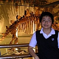 自然史博物館-恐龍化石