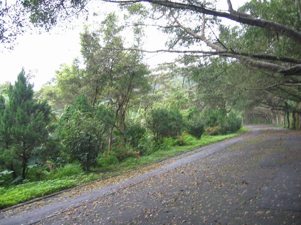 盆邊步道 010.jpg