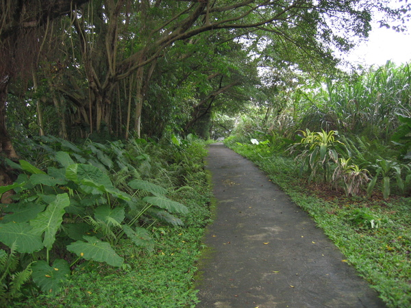 盆邊步道 023.jpg