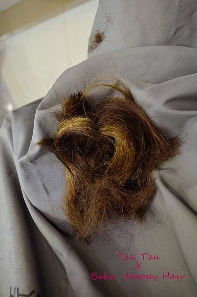 IMG_2868.JPG IMG_2868.JPG